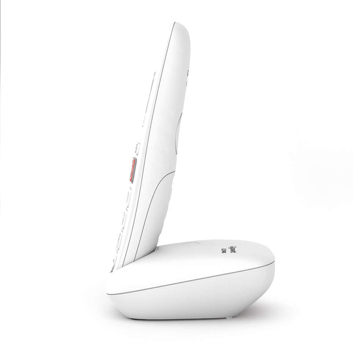 Gigaset E290 Duo
